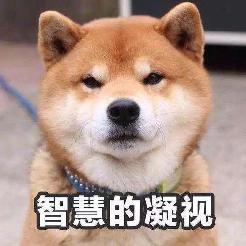 为什么说冬季采暖室温不超过22℃最舒服最健全？(图6)